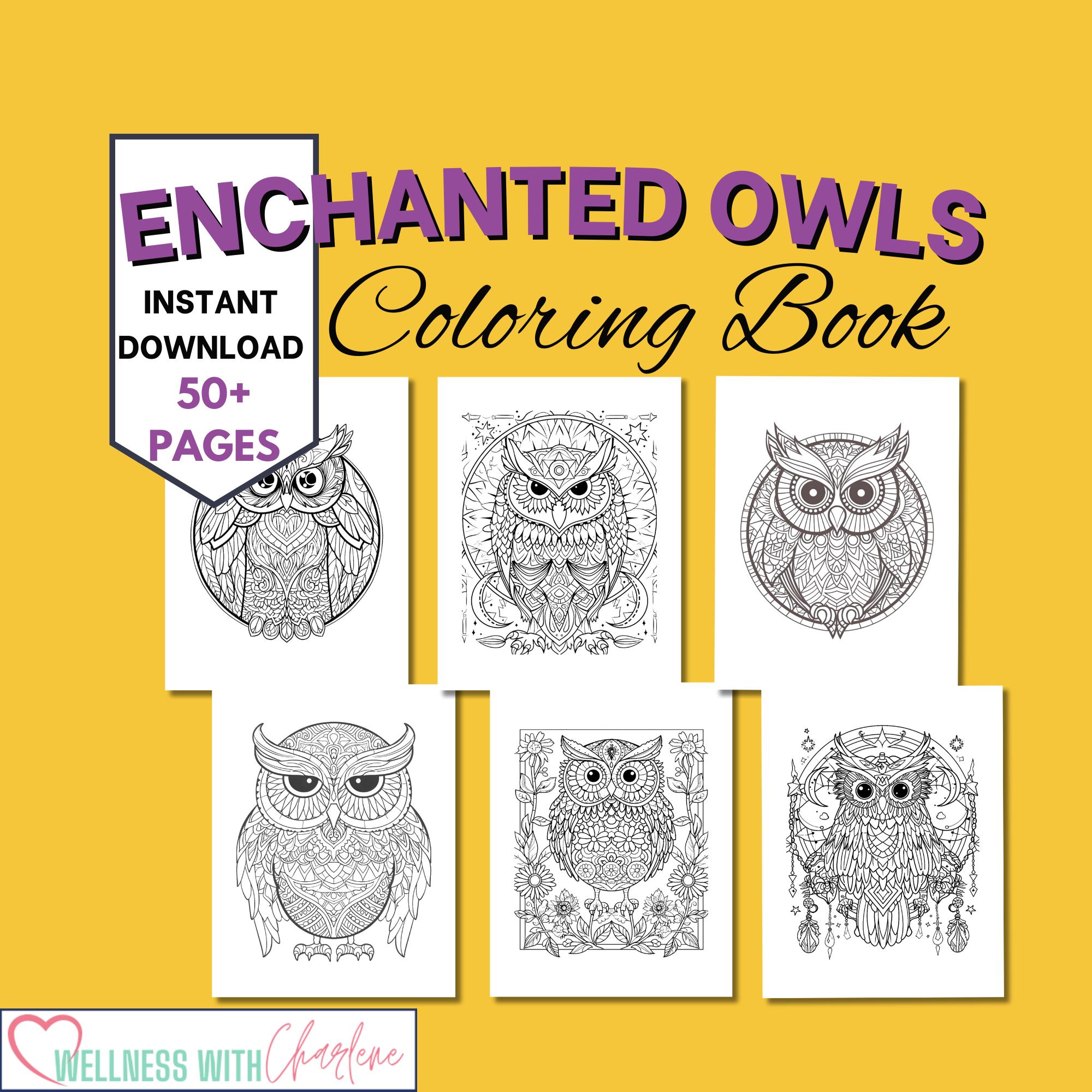 Adult Mandala Coloring Pages Printable PDF Owl Coloring Book for Adults Therapeutic Relaxation Color