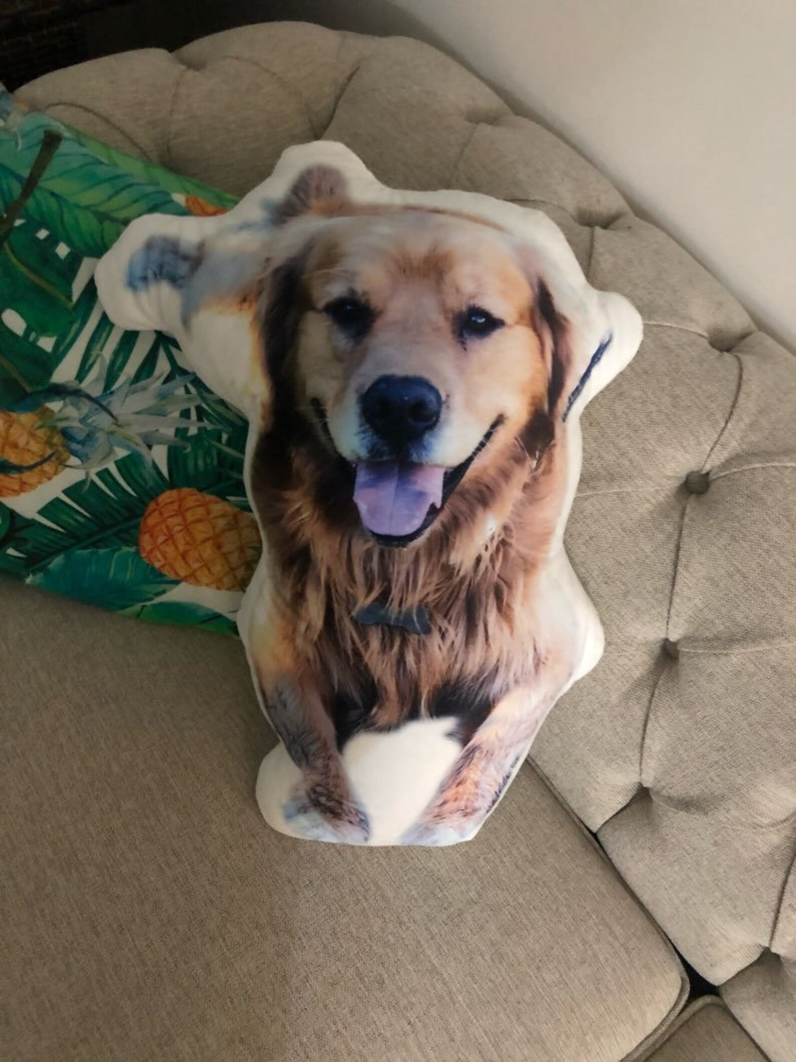 Cat Pillow CUSTOM PET PILLOW Custom Dog Pillow Pet Etsy