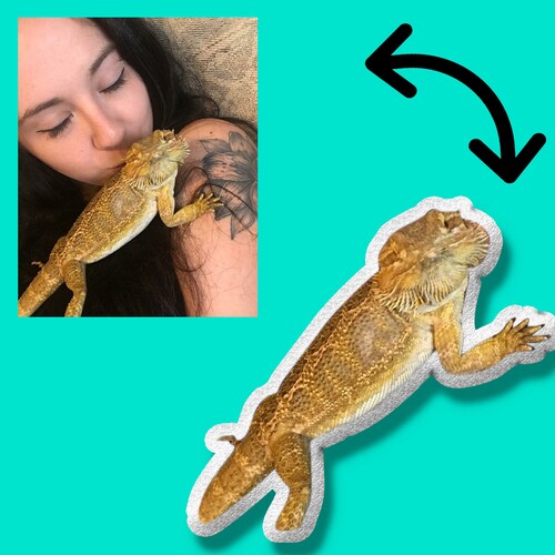 Pet Pillow Bearded Dragon Reptile 