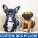 CUSTOM PET PILLOW | Custom Dog Pillow | Pet Pillow | Dog Pillow | Cat Pillow |  Custom Pet Portrait Pillow 