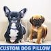 CUSTOM PET PILLOW | Custom Dog Pillow | Pet Pillow | Dog Pillow | Cat Pillow | Custom Pet Portrait Pillow