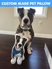 Pet Pillow | CUSTOM PET PILLOW | Custom Dog Pillow | Dog Pillow | Cat Pillow | Custom Pet Portrait Pillow