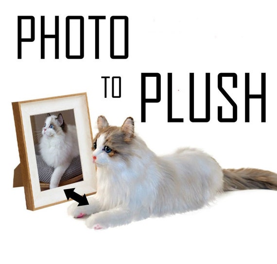 personalized cat stuffed animal