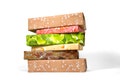 Cheeseburger Wrapping Paper Set | Funny Birthday Gift Wrap For Multiple Presents | Hamburger Meat Cheese Lettuce Tomato Bun | Father’s day!