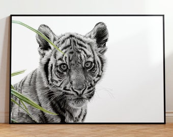 Tiger Cub Print | Giclée Print | Graphite Drawing | Sumatran | Wildlife | Animal Art | Cobbled Fox
