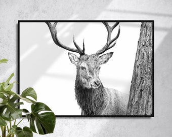 Deer Art Print | Graphite Drawing | Deer Drawing | Giclée Print | Black & White | Animal Wall Art | Brandon Andrews Art