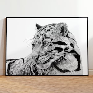 Clouded Leopard Print | Graphite Drawing | Giclée Print | Black & White | Animal Wall Art | Cobbled Fox