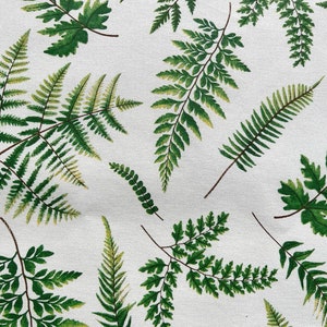 Fern Pattern Fabric | 100% Pure Cotton | 180 cm (71 inches) Wide | Natural Background