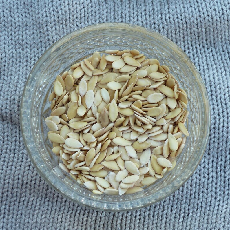 Banana Melon X Golden Jenny Cross Made From Heirloom Melons Etsy