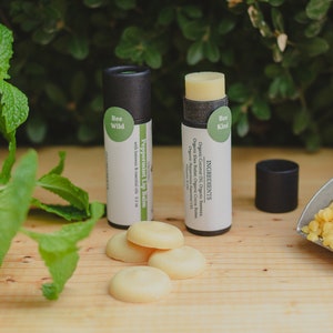 Tubo de bálsamo labial ecológico de menta de 0,3 oz, tubo de cartón, cera de abejas y aceite de coco, regalos, aceites esenciales