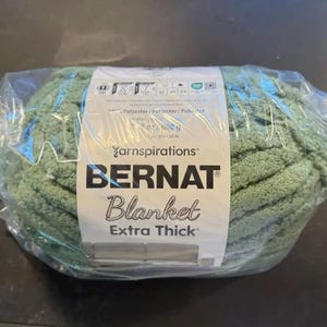 Bernat Blanket Extra Thick Yarn (600g/21.2oz) in GREEN FROST