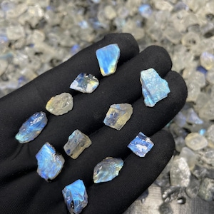 May include: A collection of raw, iridescent moonstone gemstones. The stones, in various shapes and sizes, display a range of colors including blues, yellows, and whites. The gemstones are held in a black gloved hand, with a blurred background of similar stones.