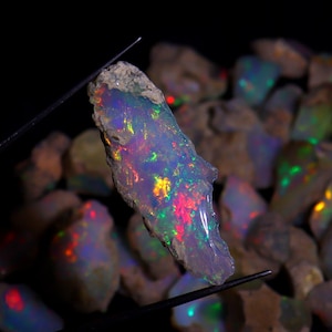 May include: A colourful, raw opal gemstone, displaying red, green, and yellow hues, is held by tweezers against a dark backdrop. Other rough opal stones are visible in the background.