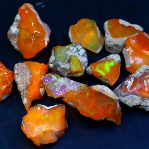May include: A collection of rough, raw opal gemstones. The opals display vibrant orange and yellow hues with flashes of green and purple. Each stone is encased in a matrix of gray and tan rock.