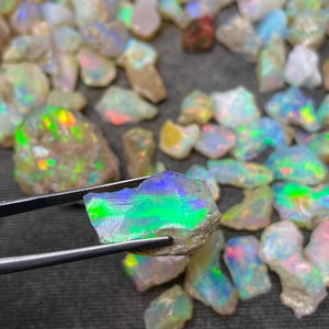 Op de afbeelding: Een verzameling ruwe opaal edelstenen, met een grote opaal die met een pincet wordt vastgehouden. De opaal is iriserend met groene, blauwe en witte kleuren.