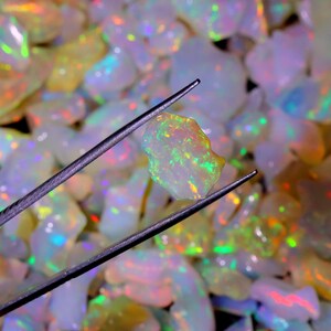 May include: A close-up of a white opal gemstone with iridescent green, yellow, and orange flashes. The opal is held by tweezers and surrounded by a pile of other opals.