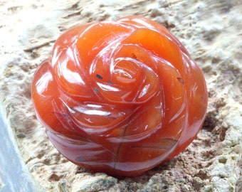 May include: A carved carnelian rose, a deep orange-red color, with a smooth, polished finish. The rose is a natural stone and has a unique, organic shape.