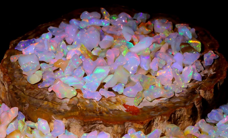 May include: A collection of iridescent opal chips in various shapes and sizes, displayed on a piece of petrified wood. The opals have a rainbow of colors, including pink, green, blue, and yellow.