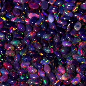 May include: A collection of polished black opal gemstones. The opals have a dark base color with flashes of red, green, blue, and yellow. The gemstones are oval-shaped and appear to be scattered across a surface.