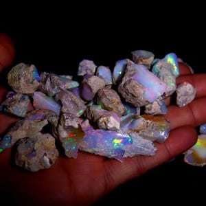 May include: A collection of rough opal stones, displaying a spectrum of colours such as blues, greens, and iridescent flashes. The opals are held against a dark backdrop, accentuating their natural texture and beauty.