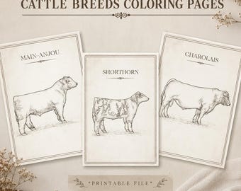 Cattle Breeds Coloring Pages | Farm Animal Activity (PDF Digital)