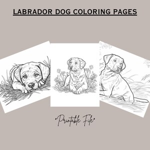 Printable* Labrador Retriever Coloring Pages