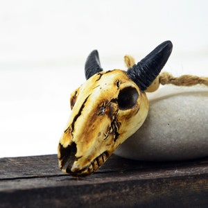 Skull, Vintage animal skull, Bull skull, Ceramic skull, Art supplies