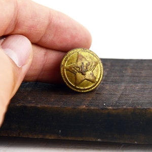 May include: A gold-colored metal button with a five-pointed star and wings in the center.