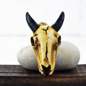 Skull, Vintage animal skull, Bull skull, Ceramic skull, Art supplies