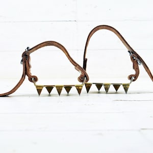Vintage Ice Spikes: Leather Straps, Mountaineering Creepers