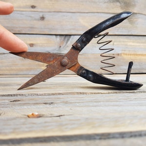 Vintage scissors - Sewing scissors  - Antique scissors - Old scissors