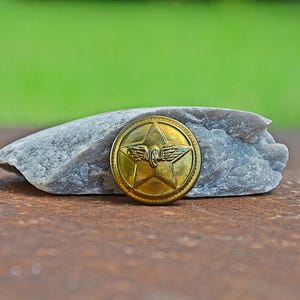 May include: A gold-colored metal button with a star and wing design, resting on a gray stone. The button is circular with a detailed emblem. The background is a blurred green and brown.