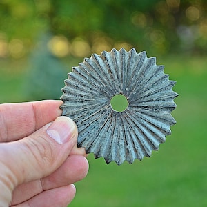 May include: A weathered, circular metal object with a central hole and a radiating, ridged design. The object is held in a hand against a blurred green background, suggesting an outdoor setting. The object's color is a muted teal.