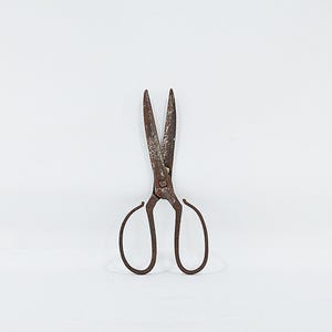 May include: A pair of vintage, rusty scissors with long blades and looped handles. The scissors are made of metal and show signs of age and wear, with a weathered appearance. The blades are open, and the scissors are set against a white background.