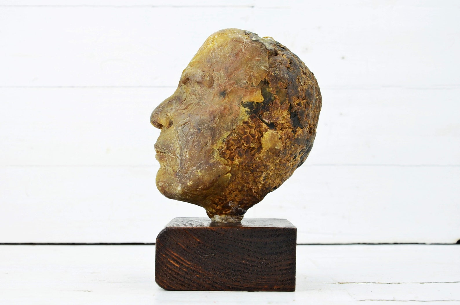 Vintage Beeswax Head Sculpture Sculpts Beeswax Head Bust Etsy