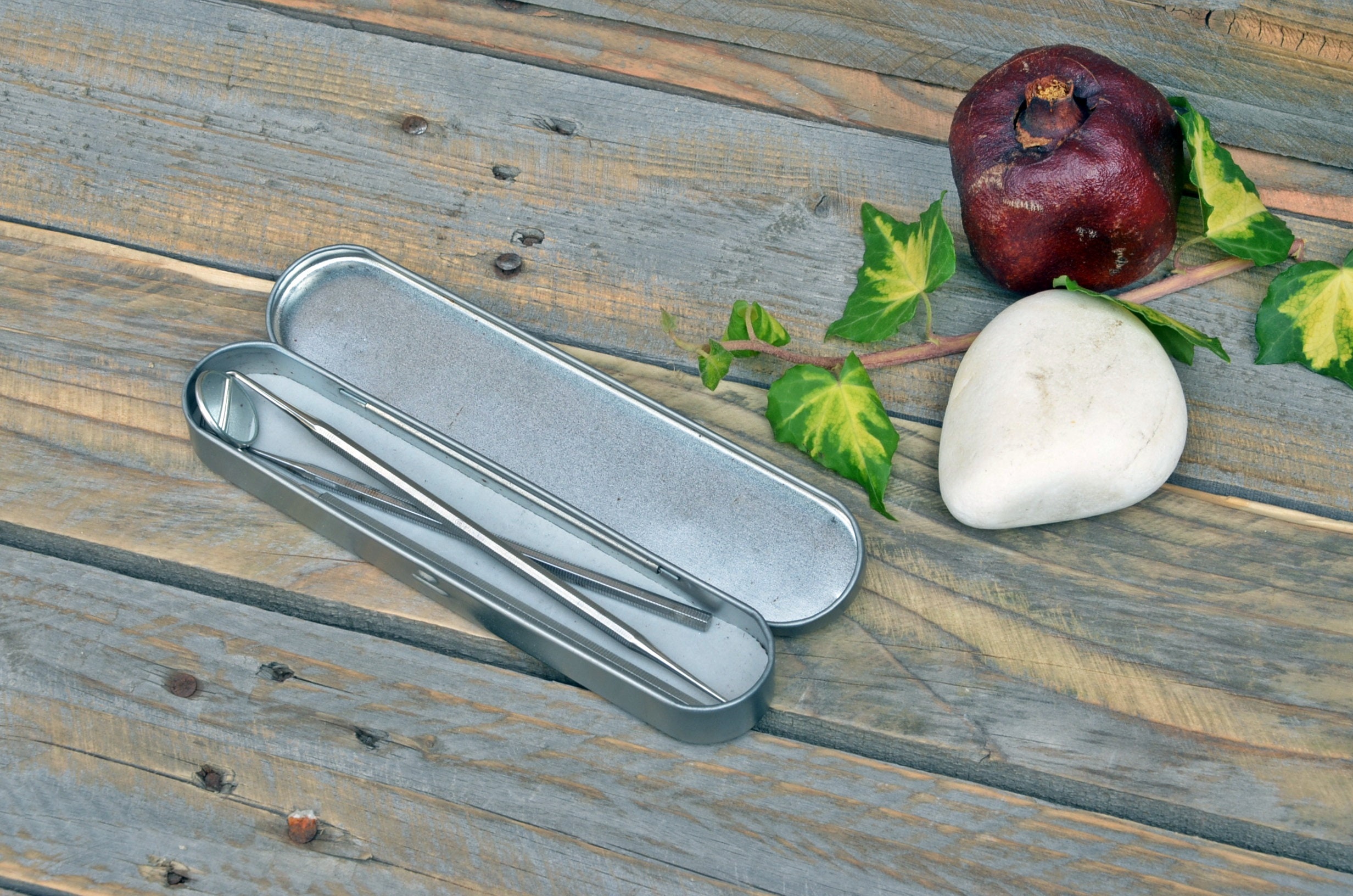 ヴィンテージステンレススチール製歯科用ツールセット - 医療機器