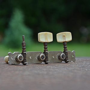 Könnte beinhalten: Nahaufnahme einer Vintage-Gitarrenstimmmaschine. Die Metallplatte hat drei Stimmwirbel mit elfenbeinfarbenen Knöpfen und kleinen Zahnrädern. Der Hintergrund ist ein verschwommenes Grün.