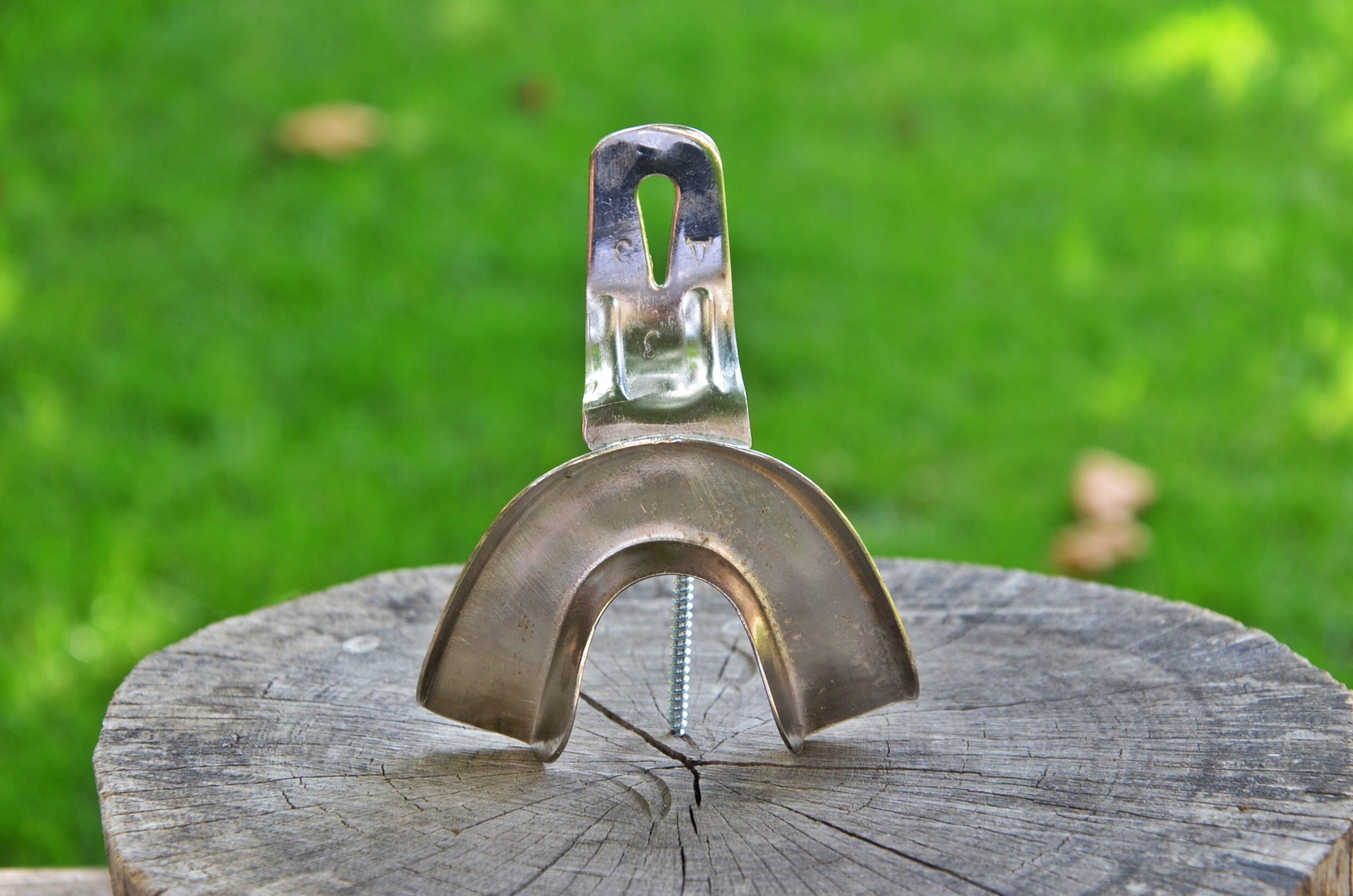 Vintage Dental Impression Dental Mold Putty Cast Mold Dental Etsy