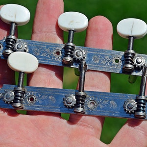 May include: Two vintage guitar tuning machines with white tuning pegs and floral engraving on the metal plates. The tuning machines are held in a hand against a blurred green background.
