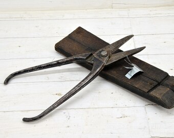 Forbici Leader Cam Da Taglio - Estetica Femminile - Foto 9