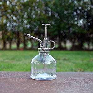 Air Plant Mister, Glass Spray Bottle, Vintage Inspired Glass Mister, Plant Sprayer, Vintage Spray Pump, Atomiser, Unused New