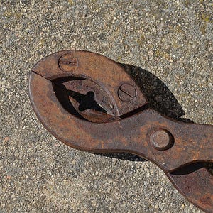 Op de afbeelding: Close-up van een roestig, vintage gereedschap, waarschijnlijk een tang of kniptang, met een gebogen ontwerp en een centraal snijgedeelte. Het gereedschap is gemaakt van metaal en vertoont tekenen van ouderdom en slijtage, met een verweerde, bruine kleur.