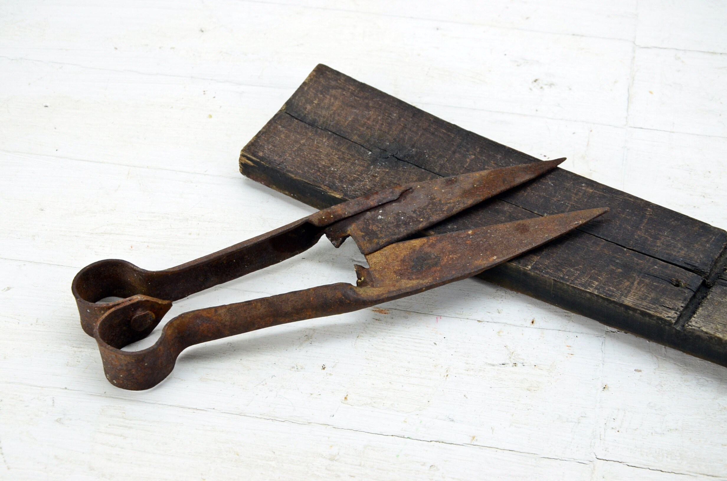 Rusty Old Fashioned Sheep Shears Held In Hand Stock Photo