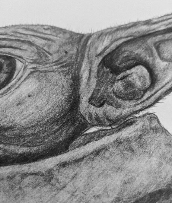 Baby Yoda Star Wars Mandalorian Drawing A3 Hand Drawn Pencil Etsy Baby Yoda Star Wars Mandalorian Drawing A3 Hand Drawn Pencil Etsy