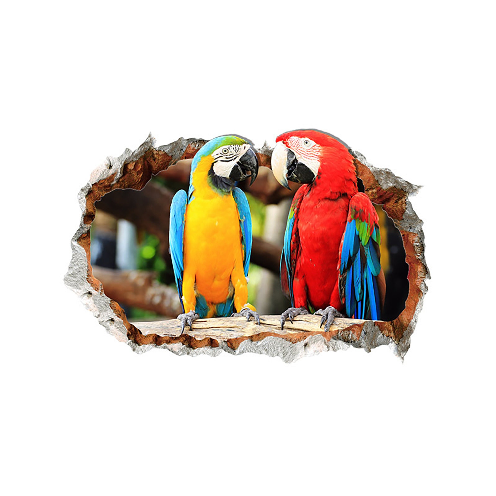Wall Stickers Parrots Bird Exotic Jungle Smashed Decal 3D Art Vinyl Room F494 
