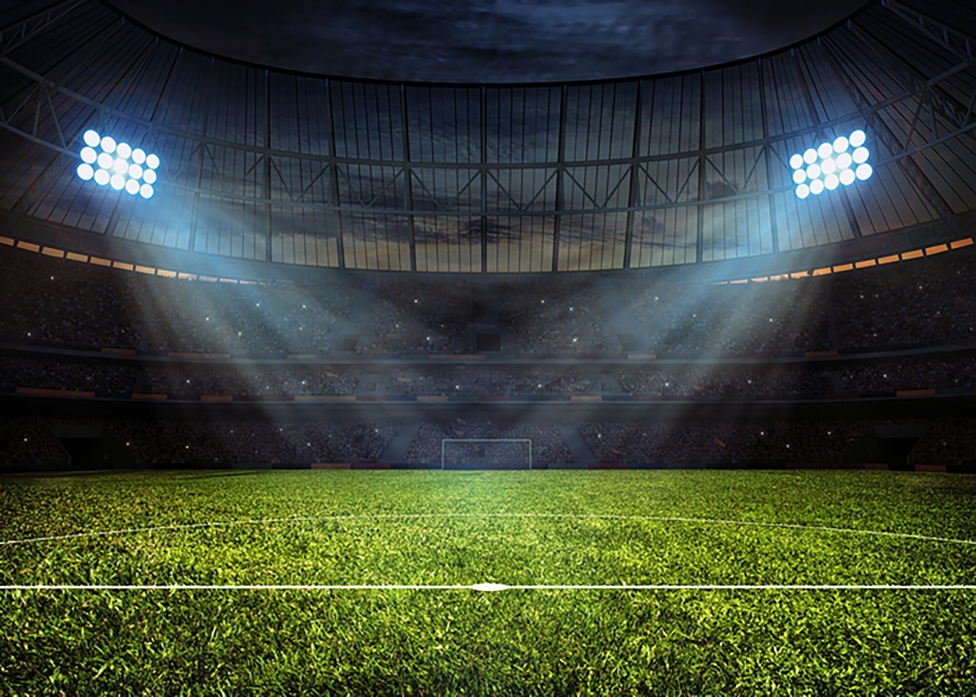 Stadium Backdrop Vinyl Cloth Backdrop Photography Football Etsy UK