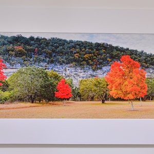 Peut inclure: Une photographie panoramique d'une colline avec une falaise rocheuse. Au premier plan, un champ avec cinq arbres aux nuances de rouge et d'orange. Les arbres sont en automne.