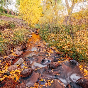 サンタフェのダウンタウンにあるサンタフェ川沿いの紅葉 - ニューメキシコの魅惑の地、秋の紅葉シーズンの壁飾り