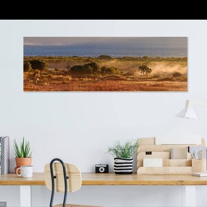 Golden Hour Panorama of Foggy Rio Grande Cottonwood Bosque - Albuquerque New Mexico Land of Enchantment Wall Hanging