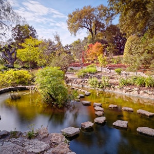 Lange Belichtung von Zilker Botanische Gärten Koi Pond - Austin Texas Hill Country - HerbstLaub Travis County Wandbehang Wanddekoration